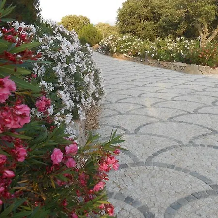 Rocce Bianche - Porticato Farm stay