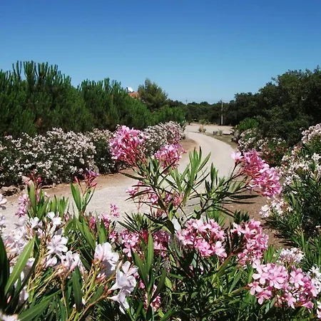 Rocce Bianche - Porticato Farm stay